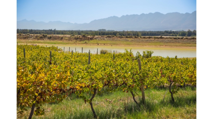 Commercial Property for Sale in Wolseley Western Cape